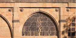 Sidi Saiyyed Mosque