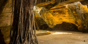 Naida Caves