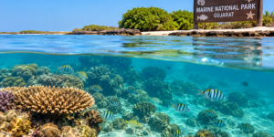Marine National Park