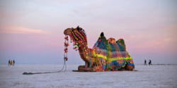 Rann Utsav Taxi