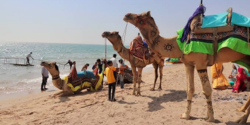 Mandvi Beach