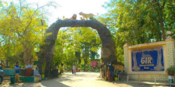 Interpretation Zone